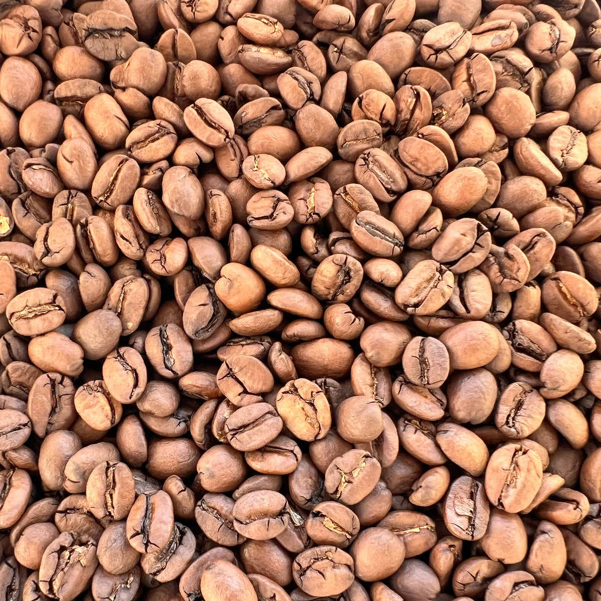 Brazil: Cerrado Mineiro - Medium Roast