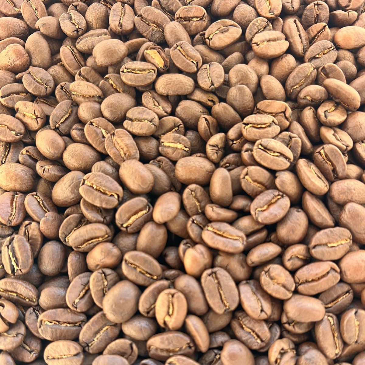 Colombia:  Supremo Select - Medium Roast
