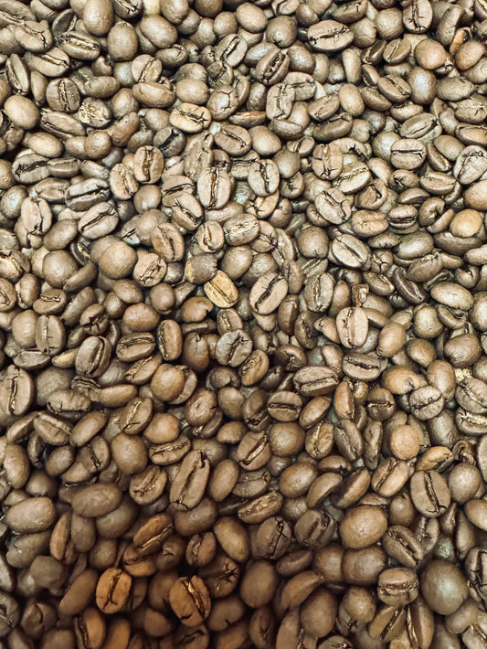 Brazil Organic:  Fazenda Dutra 14/16 - Medium Roast